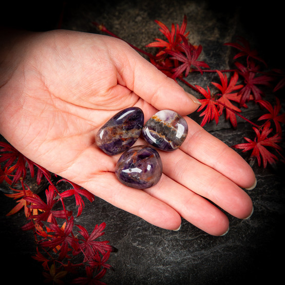 Super 7 / Melody Stone, rumpuhiottu