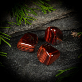 Häränsilmä, rumpuhiottu