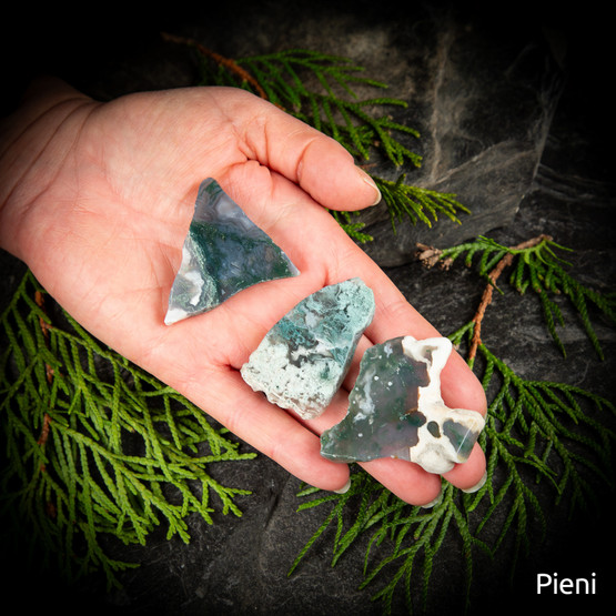 Sammalakaatti-släbi, eri kokoja