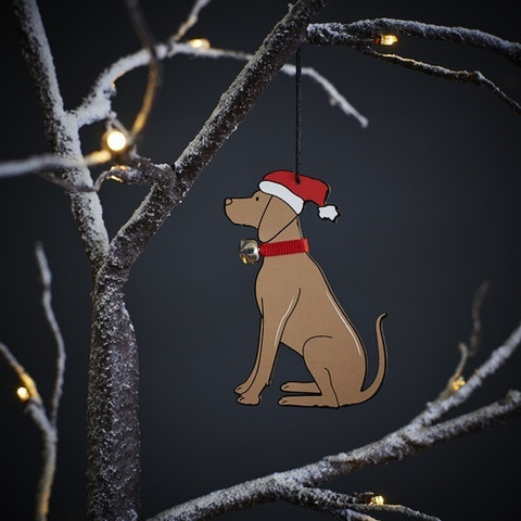 Joulukoriste, Vizsla
