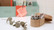 Pincinox pyykkipojat 20 kpl