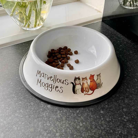 Pieni ruokakuppi kissalle 
