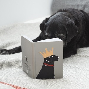 Koira-aiheinen muistikirja, labradorinnoutaja
