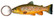 Kala-aiheinen avaimenperä, Taimen (Salmo trutta)