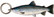 Kala-aiheinen avaimenperä, Meritaimen (Salmo trutta trutta)