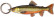 Kala-aiheinen avaimenperä, Nieriä (Salvelinus alpinus)