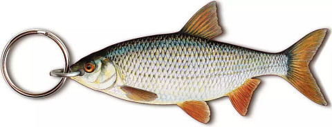 Kala-aiheinen avaimenperä, Särki (Rutilus rutilus)