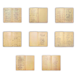 Dina Wakley Media Ledger Journal,  7.5