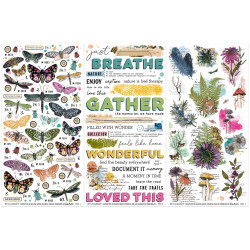 49 and Market Rub-Ons siirtokuvat Curiosities In Willow Grove, Essentials