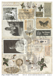 PaperGarden korttikuvat Still Moments 3