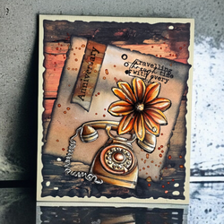AALL & Create stanssi Polaroid Pop