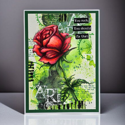 AALL & Create sapluuna Wild Rose, 6