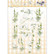  Precious Marieke Early Spring 3D-kuvat Early Snowdrops