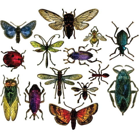 Sizzix Tim Holtz Thinlits Entomology -stanssisetti