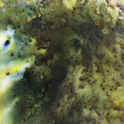 Infusions Dye Stain -värijauhe, sävy Olive Tree