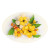 Leane Creatief Flower Foam -softislevy kukkien tekoon, setti 4 yellow