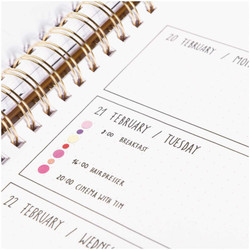 Paper Poetry Bullet Diary tarrat Circles