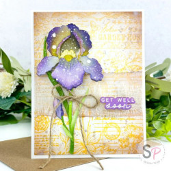 Honey Bee Stamps stanssi Lovely Layers: Iris