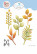 Elizabeth Craft Designs stanssi Autumn Foliage