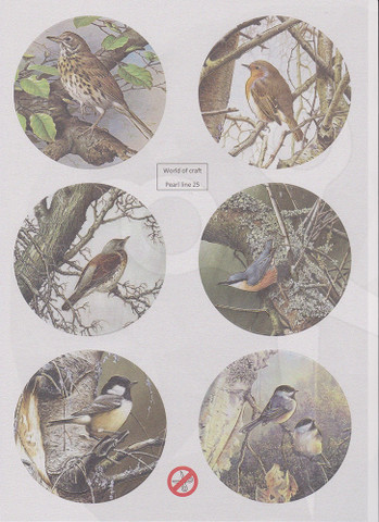 World of Craft korttikuvat 25, helmiäispaperi, leikattu