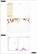 Mambi Planner Companion Classic -pakkaus, Pressed Florals