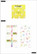 Mambi Planner Companion Classic -pakkaus, Pressed Florals