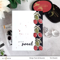 Altenew Mini Delight: Berry Sweet -leimasin- ja stanssisetti