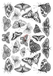 Craft O'clock Mixed Media Universal, Insects -kuultopaperit