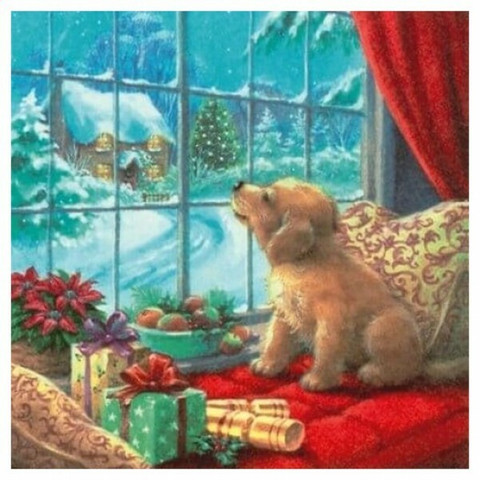 Servetti Puppy On Windows Seat, 20 kpl