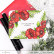 Altenew Poppy Arrangement -leimasinsetti