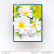 Altenew Craft-A-Flower: Cape Marguerite -stanssisetti