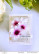 Altenew Craft-A-Flower: Cape Marguerite -stanssisetti