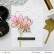 Altenew Scallops Cover -stanssi
