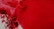 Brusho Crystal Colour -akvarellijauhe, sävy Scarlet