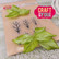 Craft & You leimasin Flower Stamens 4