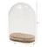 Tim Holtz Idea-Ology Reliquary Dome -kupu