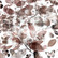 49 and Market Color Swatch: Toast Acetate Leaves -leikekuvat