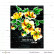 Altenew Swamp Buttercup -sapluuna