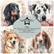 Paper Favourites Dogs -paperipakkaus, 15 x 15 cm