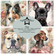 Paper Favourites Dogs -paperipakkaus, 15 x 15 cm