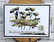 Aall & Create leimasin Butterfly Effect
