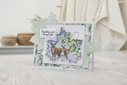 Crafter's Companion In The Frame, Timeless Leaves leimasin Winters Wonder