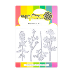 Waffle Flower stanssi Dry Flowers