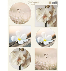 Marianne Design korttikuvat Orchid