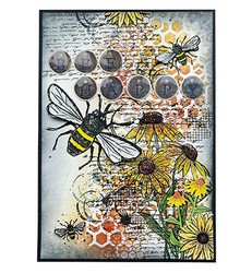 Studio Light Sweet Bee Memories leimasin Echinacea