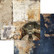 Alchemy of Art paperipakkaus Behind Closed Doors, 8