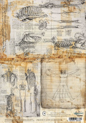 Alchemy of Art riisipaperi Behind Closed Doors