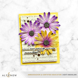 Altenew 3D kohokuviointikansio + stanssi Lush Botanicals: African Daisy