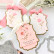 Pinkfresh Studio stanssi Dotted Fancy Frames