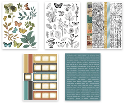 Arden Creative Studio tarrat Amber Ledgers